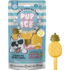 Pup Ice Hondenijsje Fruit Lollie Ananas - 3 stuks