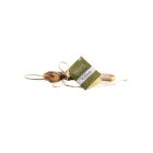 Chewies Olijfhout X-Small -1 stuk
