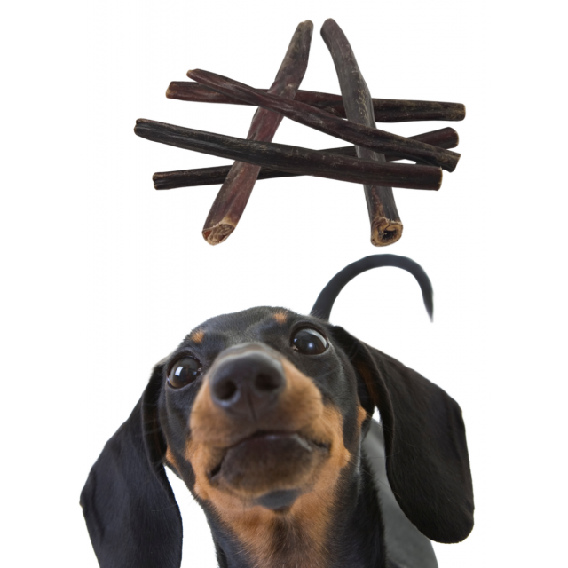Carlos Bully Stick -30 cm 