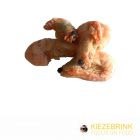 KB Barf Garnalen IQF 5-6 cm - 5 kg 