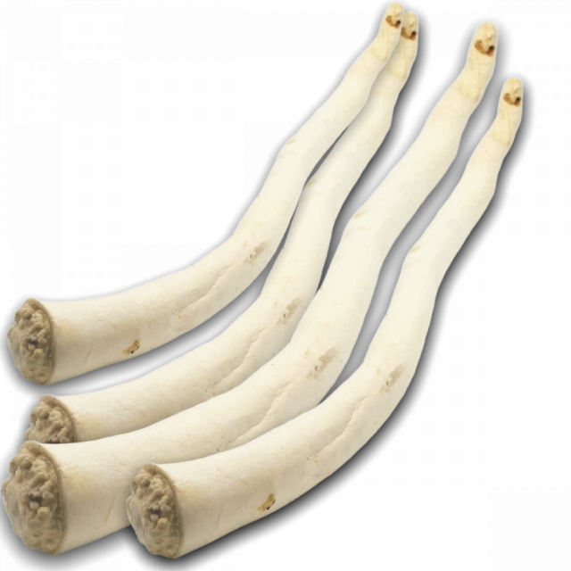 Ossestaart 30-45 cm - 1 stuk