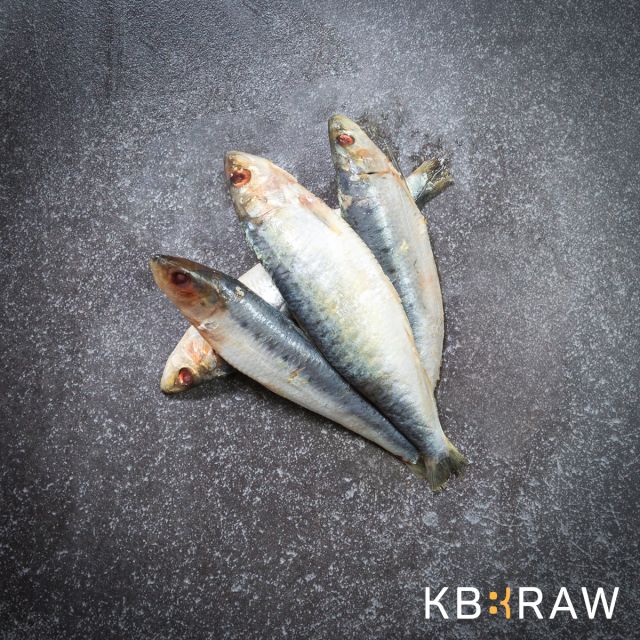 KB BARF Sardine IQF - circa 1 kg