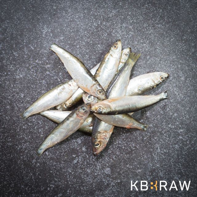 KB BARF Sprot IQF - circa 1 kg